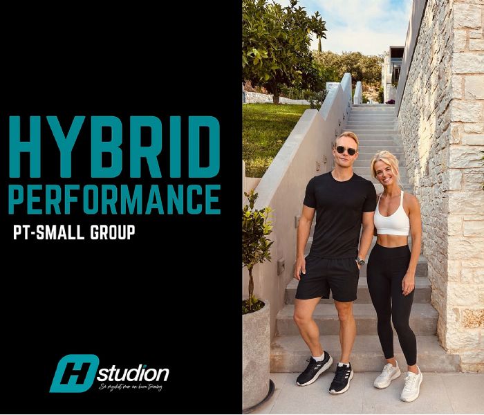 HYBRID PERFORMANCE 